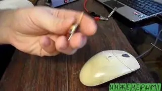 Что можно сделать из сгоревшей лампы