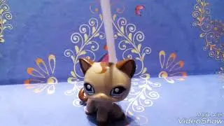 Мої  нові пети з полімерної глини FIMO