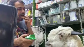 Sultan - Tujhko na dekhoon to ji ghabra ta hai