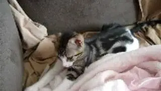 Izzy 025