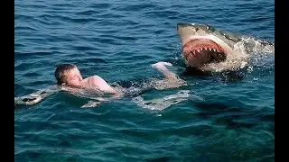 Top 10 Fun Facts about Animals to Make You Smile