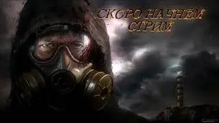 Начало стрима