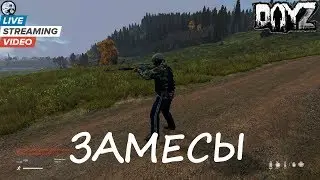 Замесы [DayZ]