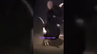 nicht von mir