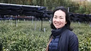 Om Yuko Ono Sthlm (utan text)