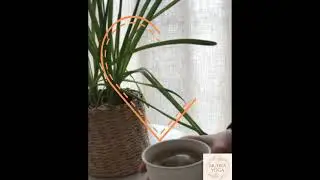Массаж студия "Mudra Yoga Kiev"