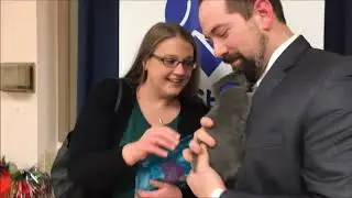 GandalfKittenVid