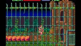 Super Castlevania IV Stage 1-1