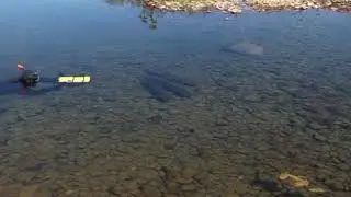 съемка тайменей в суровых условиях