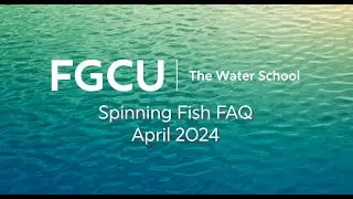 Spinning Sawfish FAQ