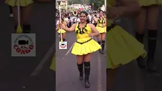 #banda