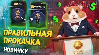ТЫ НЕ ЗАРАБОТАЕШЬ БЕЗ ЭТОГО | ЧИТЕРНАЯ ПРОКАЧКА В HAMSTER KOMBAT | ГРАМОТНЫЙ СТАРТ | $HMSTR