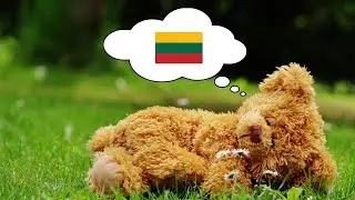 Learn Lithuanian While You Sleep - 1000 Important Lithuanian Words & Phrases