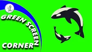 DOLPHINS FISHES SWIM Green Screen Corner Video Animation Background Chrome Key - Upinder Bir Singh