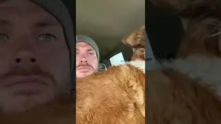 The queen getting to ride on the farm