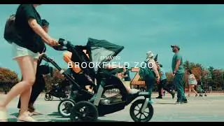Brookfield Zoo #brookfield #zoo #chicago