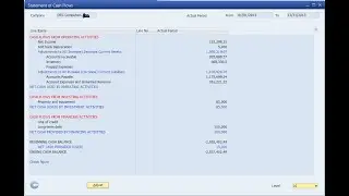 SAP Business One Cash Flow Statement