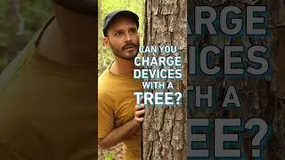 Can a 🌲⚡️a📱? 