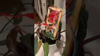 Soil Health Probe Prototype