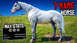7 Rare Horse Locations - Red Dead Redemption 2