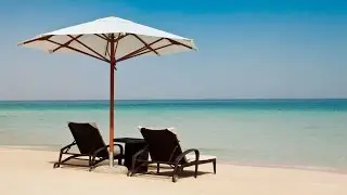 Pool access & lunch at Wavebreaker, Hilton Dubai JBR