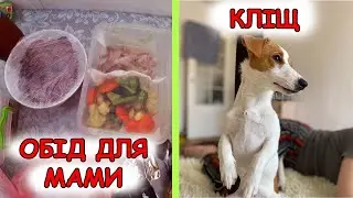Готую для дітей в пологовий. У Мілки кліщ, шукаємо ветклікаря в ніч. Мій день народження