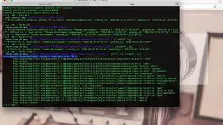 День 11 - Урок 1 - Консоль Rails