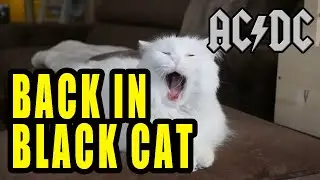 AC/DC animalization cover