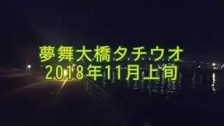 初めての電気ウキでタチウオ