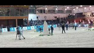 عرض المهر المصرية الصغيرة روعة الاداء #سومر
