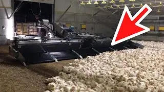 See How American Farmers use AI Agriculture Technology to make Millions.ai