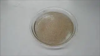 Spicy Disappearing Act    Show Me The Physics