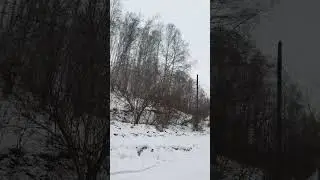 1 января 2024 г.