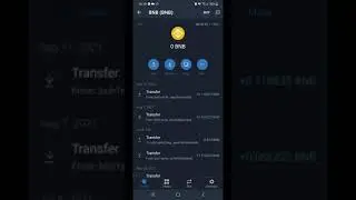 Purchasing/Sending BNB to Metamask from Trust Wallet