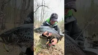 Форсируем !