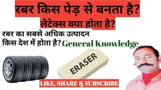 Rabar kis ped se banta hai (रबर किस पेड़ से बनता है?)