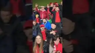 Festa e kombetares Shqipetare ne Moldavi, tofozet Shqiptare ne Moldavi