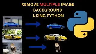 Python Remove Multiple or Bulk Background From Images Automatically I Beginners 