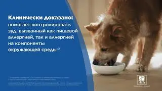 Hills Prescription Diet Derm Complete – корм для собак при аллергии и для здоровья кожи