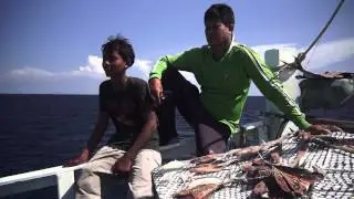 Scenes from a trawler