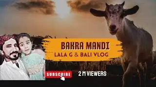 Lala G Or Bali Sakina Gay Bakra Mandi || lala g Vlog || Bakra Mandi