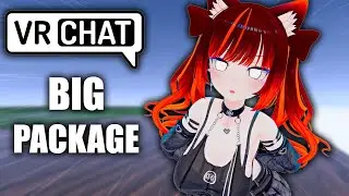 Big Package In VRChat