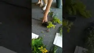 я video 0 02 05 e609b9433700937b4f28b5f8ce76a5af8511af898eddc39dc9112af23b78572c V