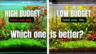 I WAS NOT EXPECTING THIS.... LOW BUDGET VS HIGH BUDGET UPDATE!