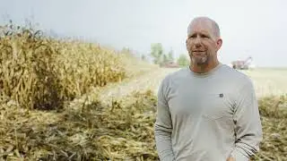 Vaderstad Tempo K:  Harvest Time - Farmer Impression