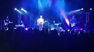 Downhearted Australian Crawl 2024