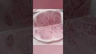 This Wagyu Is Cheap 🤔