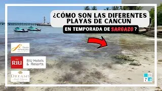 Así están las playas de varios hoteles de Cancún en temporada de sargazo Junio 2023