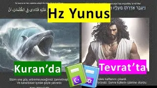 Hz. Yunus | Tevrat ve Kuran