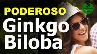 ¿Para Que Sirve El Ginkgo Biloba?